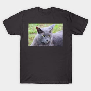 Monsieur Gris T-Shirt